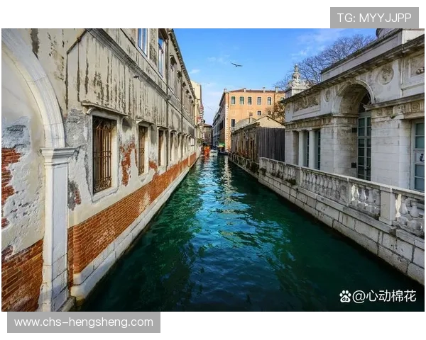 威尼斯真人带你领略真实水城的独特魅力与精彩体验之旅
